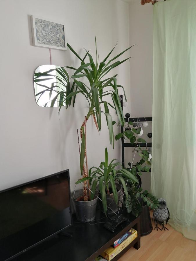 Emma Apartment โนวาเลสนา ภายนอก รูปภาพ